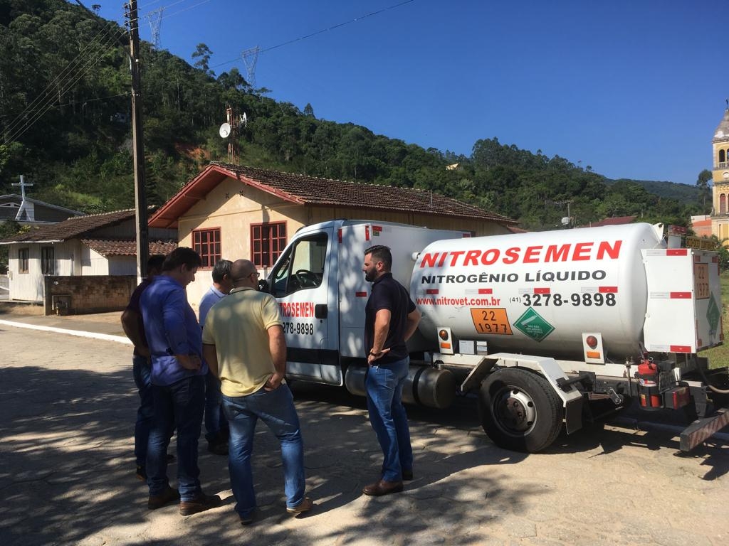 Inseminação artificial e melhoramento genético 
