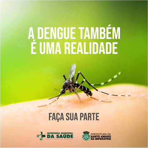 A Dengue também é uma realidade A Dengue também é uma realidade