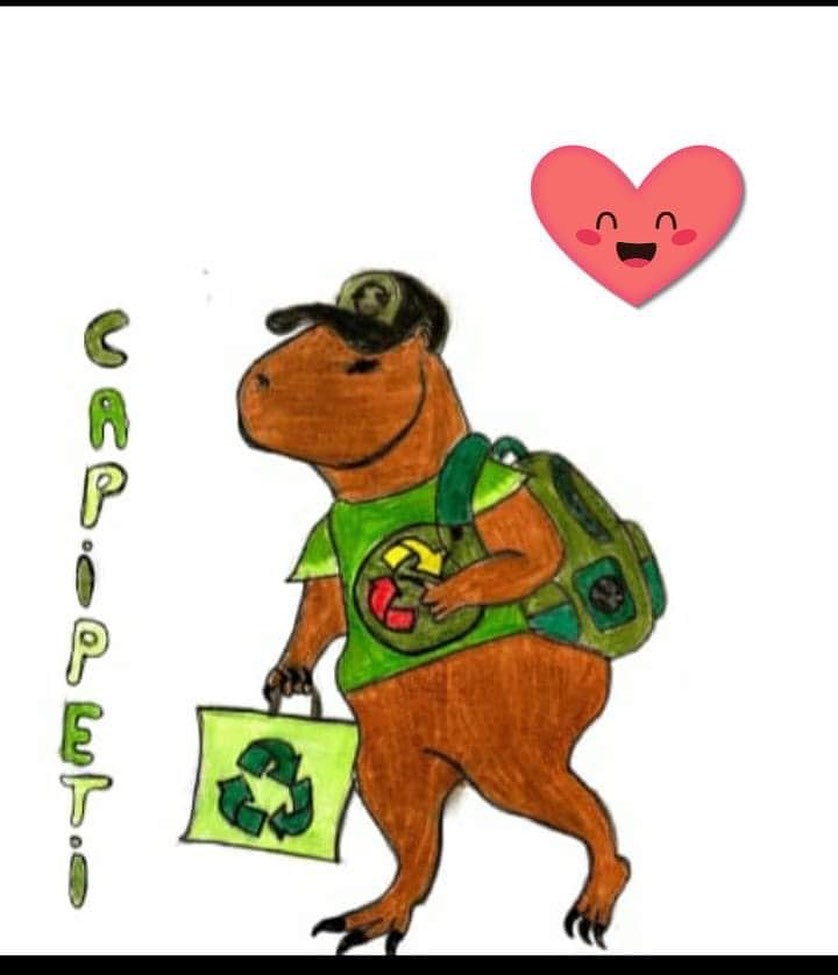 Concurso de Mascote da Coleta Seletiva de Santo Amaro da Imperatriz